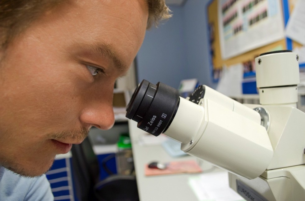 cientista observando o microscópio